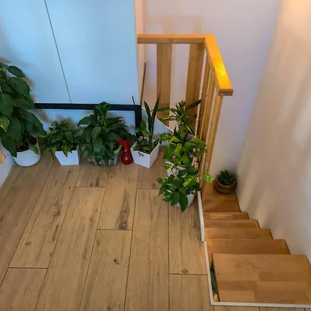 Sanja דירה אומיס